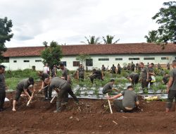 Prajurit Korem 043/Gatam Gotong Royong Siapkan Taman Urban Farming