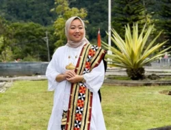Ketua Fraksi PDI-Perjuangan minta sosialisasi pemutihan pajak dengan informasi jelas