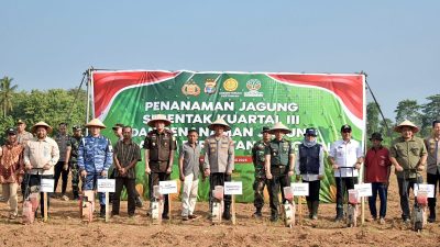 Dukung Swasembada Pangan, Kasrem 043/Gatam Hadiri Penanaman Jagung Serentak