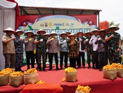 Perkuat Ketahanan Pangan Nasional, Danrem 043/Gatam Hadiri Panen Raya Serentak Kuartal III Polda Lampung