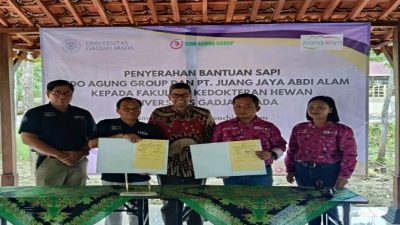 PT. Juang Jaya Abdi Alam – FKH Universitas Gadjah Mada Berkolaborasi Tingkatkan Kualitas Sapi Lokal dan Serahkan 40 sapi indukan produktif untuk pembelajaran dan riset mahasiswa